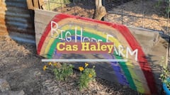 An Interview With Cas Haley