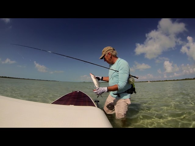 Lava Lamp: Life Short Call Now