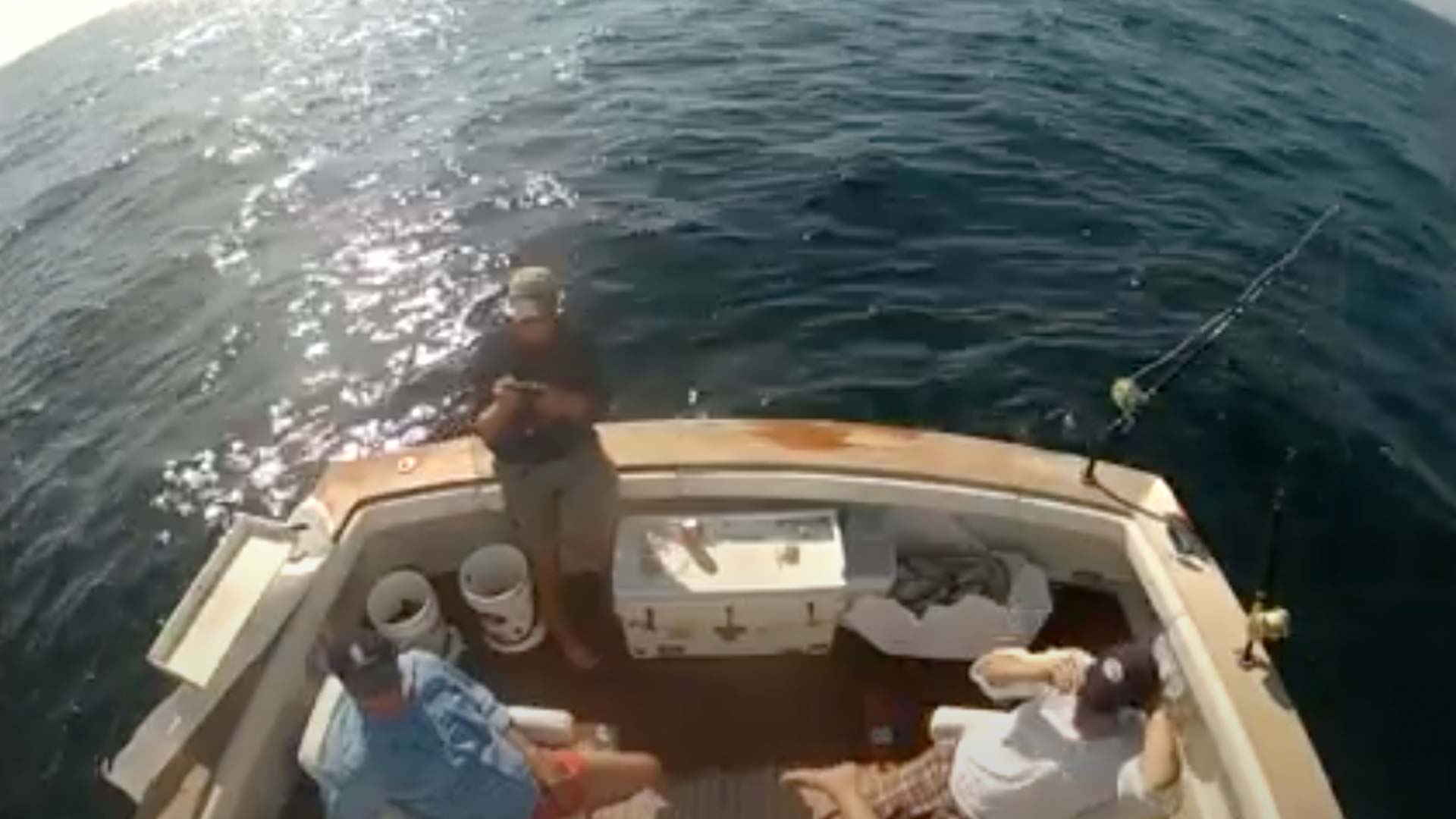 Shark Olympics Montauk Style